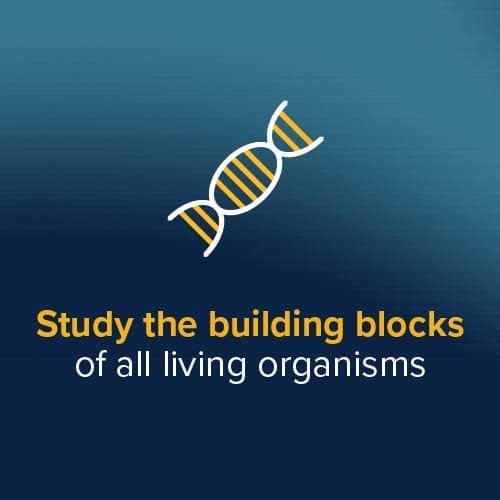 Study the building blocks of all living organisms